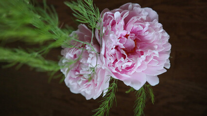 peonies bouquet 