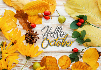 Hello october frame of autumn decor Poster card with sunlight filter and toned grunge image - obrazy, fototapety, plakaty