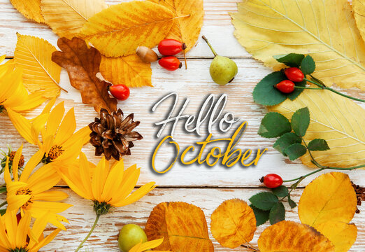 Hello october frame of autumn decor Poster card with sunlight filter and toned grunge image