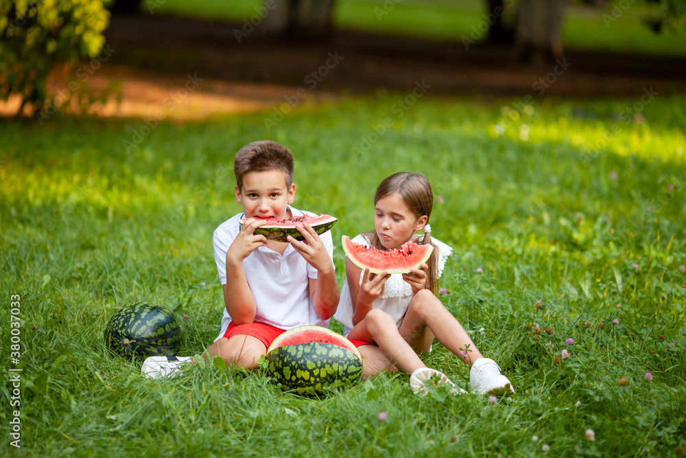 Wall mural boy and girl sit on the grass and eat watermelon