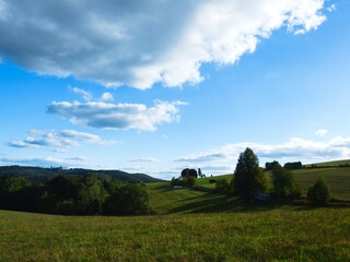 Fototapeta premium field and blue sky