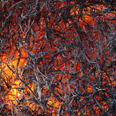 Deep smoldering black fibers close up, orange glowing shines through the structure, background texture