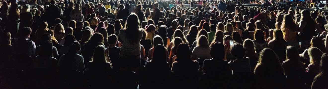Crowd at an Event