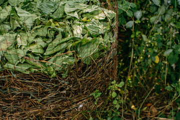 Compost Piles made from vegetable scraps and grass and plant clippings. Fresh compost pile, with garden material. Recycled Food. Fertilizer.