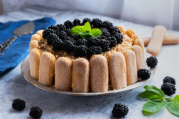 Homemade cake with decorated with blackberry, fresh mint and ladyfingers biscuits, on light grey tabletop