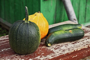 Green and yellow pumpkins and zucchini close up on a bench near a village wooden house, autumn vegetables harvest from the garden