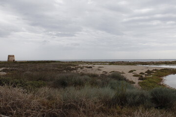 Vegetaci&oacute;n y mar