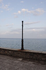 Falora al borde del mar