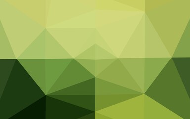 Light Green vector blurry triangle template. A sample with polygonal shapes. New texture for your design.