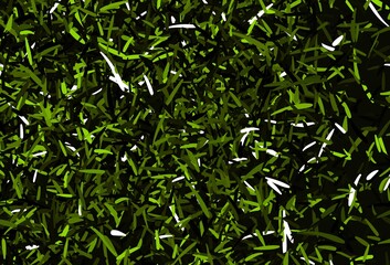 Dark Green vector background with straight lines.