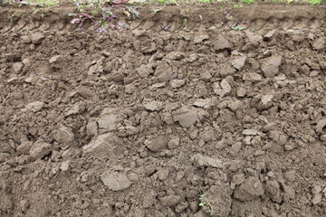 Gray brown ploughed ground dry field with tractor track on edge — soil cultivation, rustic agricultural texture for background