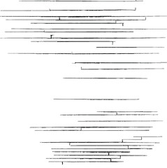 Fototapeta premium Slim lines texture. Parallel and intersecting lines abstract pattern. Abstract textured effect. Black isolated on white background.Vector illustration. EPS10.