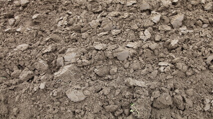 Dry brown ploughed cultivated soil, farming land ground texture background 