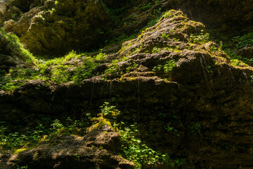 Triglavska Bistrica trail with beautiful, turquoise river and lush forests.