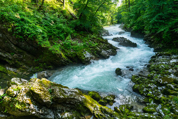 Beautiful turquoise river flowing through Vintgar Gorge in Triglav National Park. 17th April 2019, Slovenia.