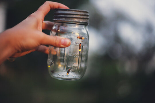 Fireflies In a Jar