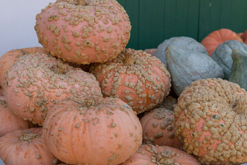 various pumpkins