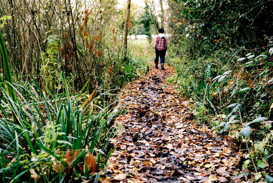 Leaf strewn path with the distant figure of a boy