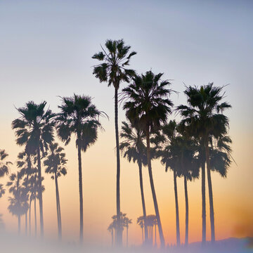 Beautiful sunset at Venice Beach, California