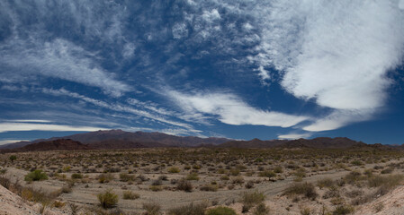 Desolated landscape. Panorama view of the arid desert, sand, vegetation and mountains under a...