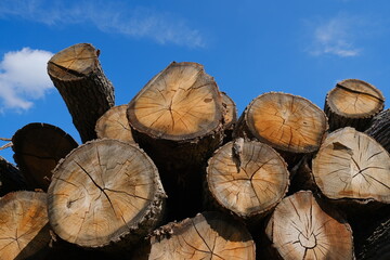 Naklejka premium Pile of wooden logs stacked together on top of each other.