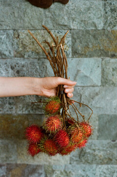 Woman holding banch of rambutan fruits