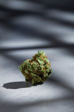 Marijuana Bud on Concrete