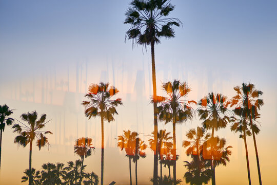 Dreamy Venice Beach through prism optics