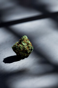 Marijuana Bud on Concrete