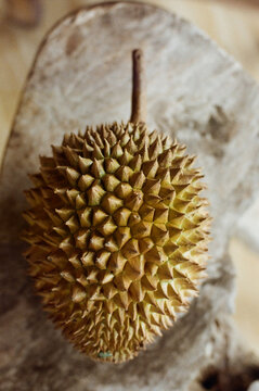 Durian