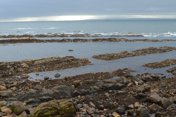 Stony coastline near St Monans Harbour, Fife, Scotland