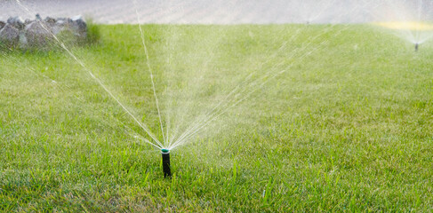 An automatic watering system watering the lawn