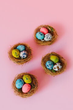The eggs in nests in a row
