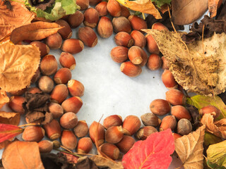 Autumn leaves and hazelnuts  background. A set of dry leaves of different shapes and colors and hazelnuts on a white background formed a heart shape.