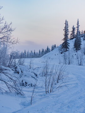 Fototapeta beautiful morning scene of forest frozen on tombstone mountain