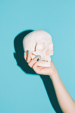 Female hand holding a skull