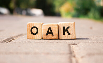 Word Oak from wooden blocks on the road