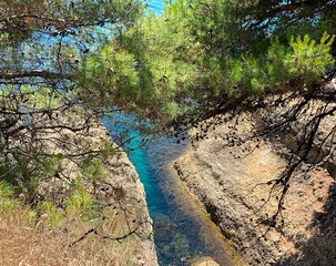 Bright colors of summer on the Adriatic.Blue and green.Amazing Sparkling sea,rocks,pines.A beautiful sunny day.Paradise Mediterranean nature.Scenic sea coast.Lush pine branch. Azure sea water.