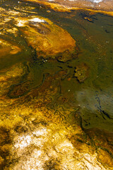 In the Surrounding of the Pump Geyser, Upper Geyser Basin Area, Yellowstone National Park