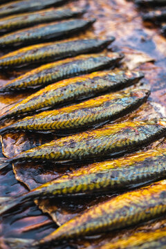 Grilled Mackerel (Saba Shioyaki)