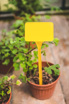 Empty Tag on a Potted Plant