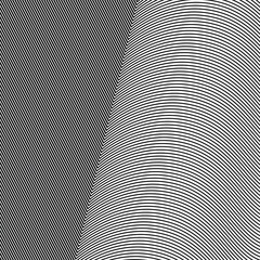 Abstract white background of thin black lines. Vector illustration.