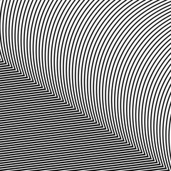 Abstract white background of thin black lines. Vector illustration.