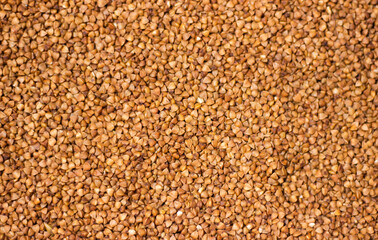 Buckwheat on a white background. Choice buckwheat. Groats on a white table.