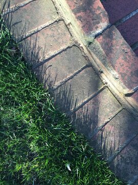 Shadow Of Grass On Brick Border