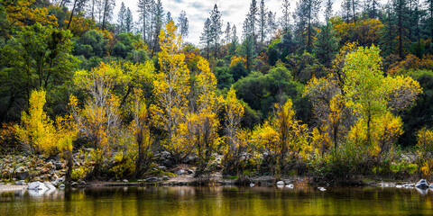 Fototapeta premium Autumn scenery on the South Yuba River