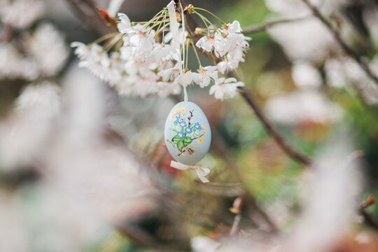 Easter egg in blossom tree