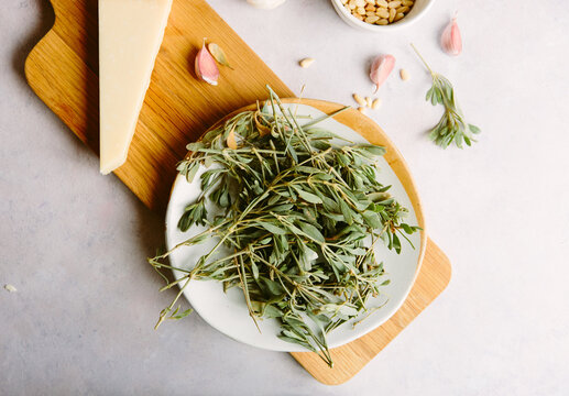 Ingredients for pesto made with wild sea purslane