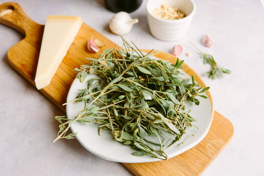 Ingredients for pesto made with wild sea purslane