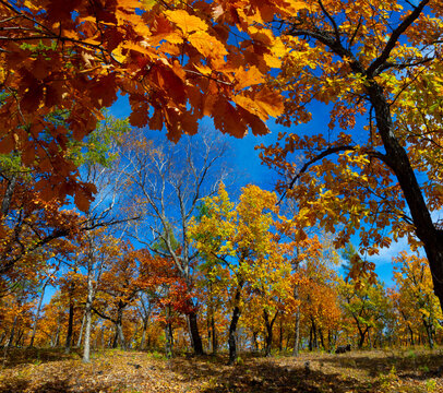 The greater hinggan mountains of heilongjiang province is ablaze
